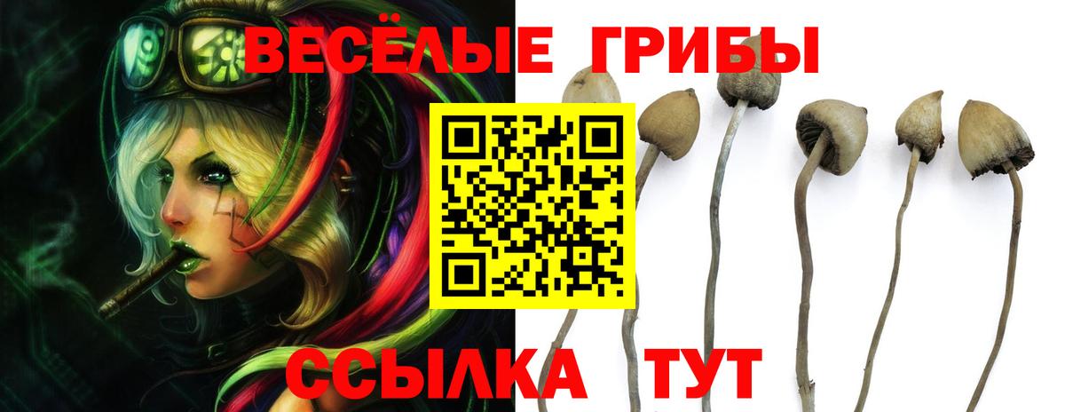 Галлюциногенные грибы Magic Shrooms Нижний Тагил